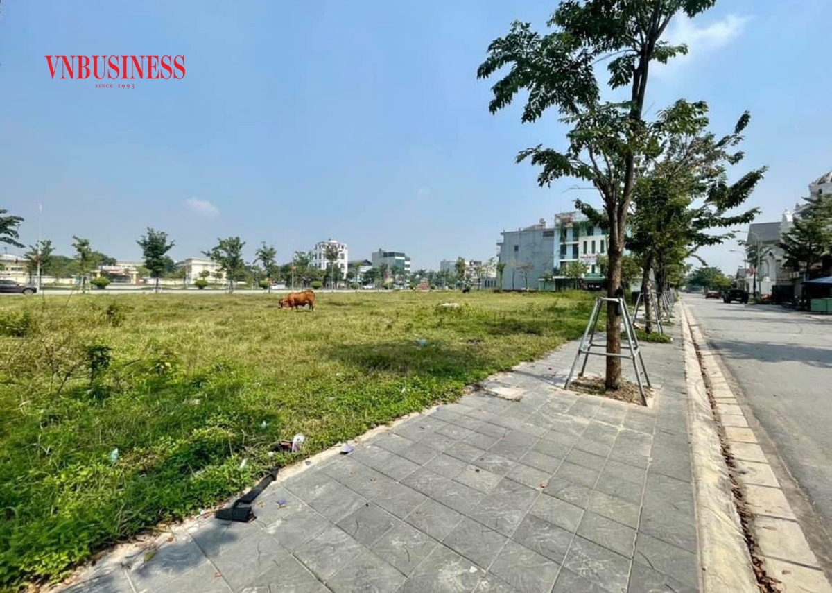 Theo chuyên gia, nếu không thể đi đường dài, nhà đầu tư bị ngộp cần tính toán cắt lỗ sớm để tránh lỗ chồng lỗ.