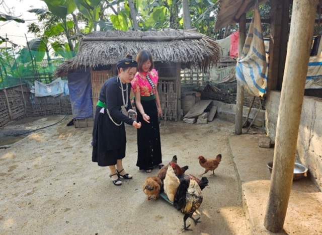 Các cấp hội phụ nữ đã tạo thêm nhiều việc làm và nâng cao chất lượng cuộc sống cho hội viên.