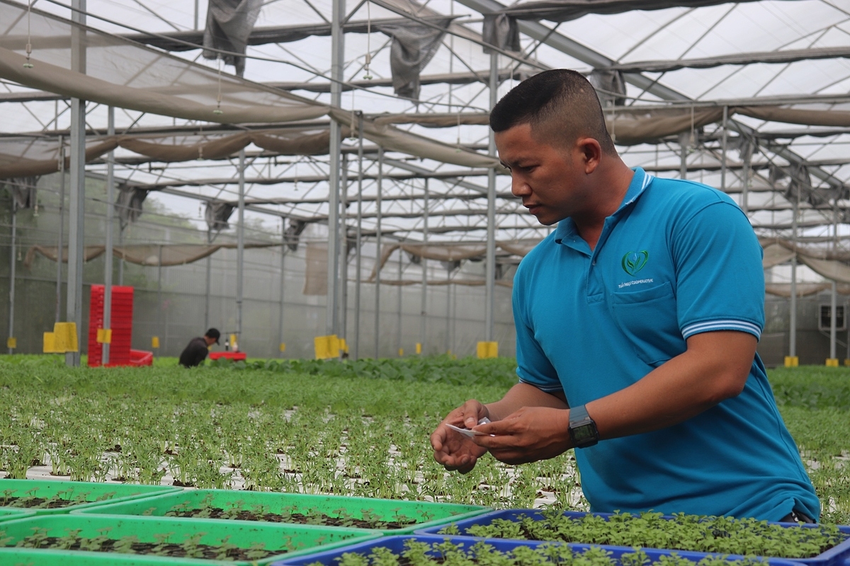 HTX Tuấn Ngọc là một trong những mô hình kinh tế tập thể tiêu biểu ở TP HCM và cả nước.