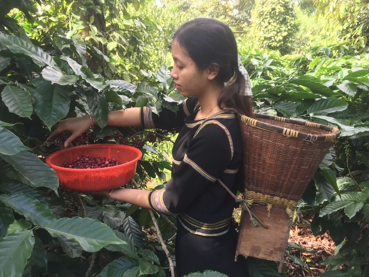 Rào cản xanh là một trong những thách thức mà doanh nghiệp Việt phải vượt qua nếu muốn đưa hàng vào thị trường EU.