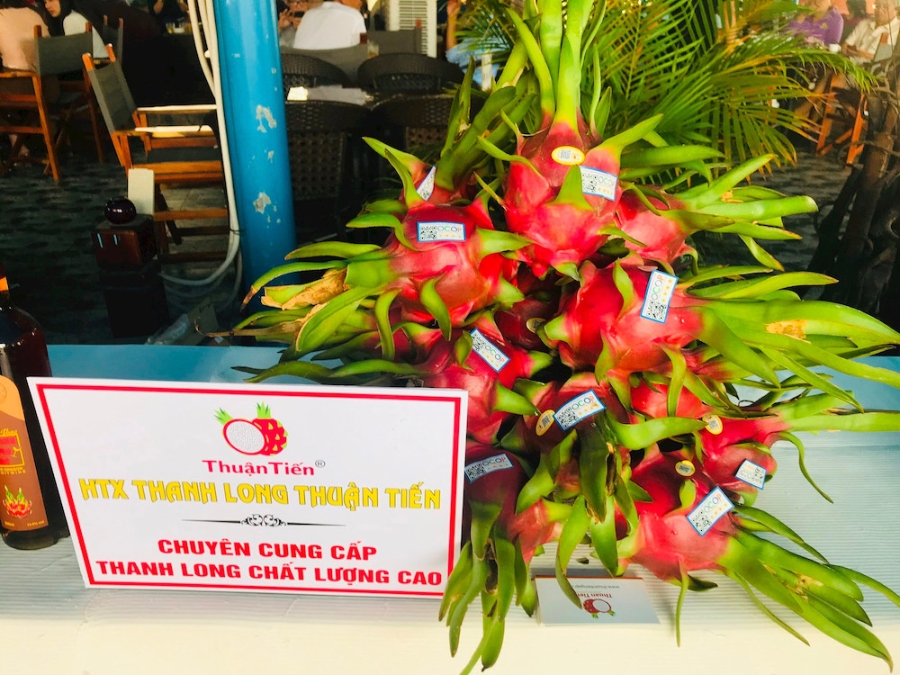 Sản phẩm thanh long của HTX thanh long Thuận Tiến đã đạt được chứng chỉ GlobalGAP