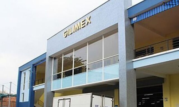 Mất đi ‘bầu sữa’ Amazon, Gilimex kinh doanh ngày càng sa sút