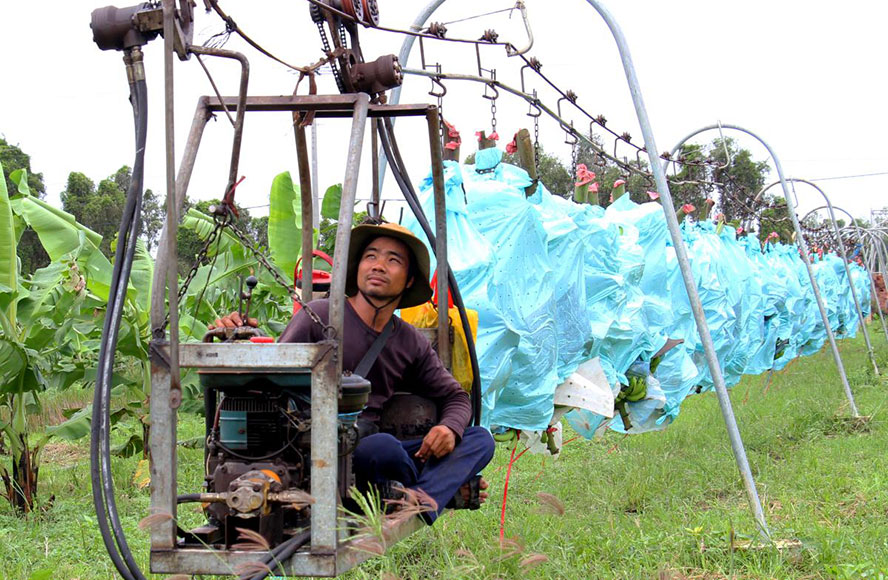 Cơ giới hóa ở nhiều HTX, trang trại vẫn gặp những khó khăn, lực cản nhất định.