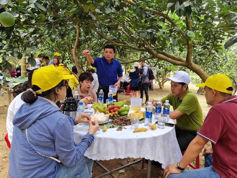Các tour du lịch trải nghiệm, sử dụng hoa quả ngay tại vườn của HTX thu hút nhiều đoàn khách trong và ngoài nước.