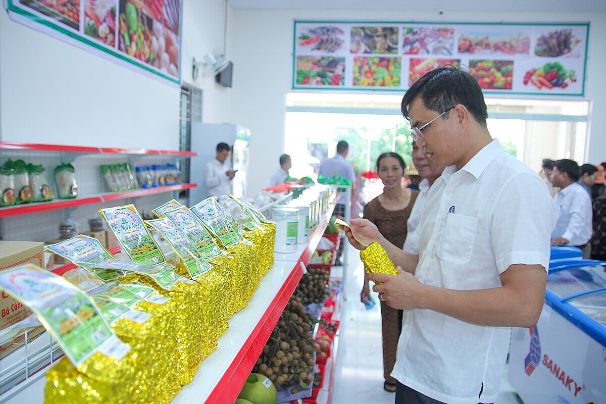 Nếu chính sách giảm thuế giá trị gia tăng (VAT) từ 10% xuống còn 8% tiếp tục đi vào thực tiễn sẽ thúc đẩy hoạt động mua sắm và sản xuất kinh doanh của HTX, doanh nghiệp.