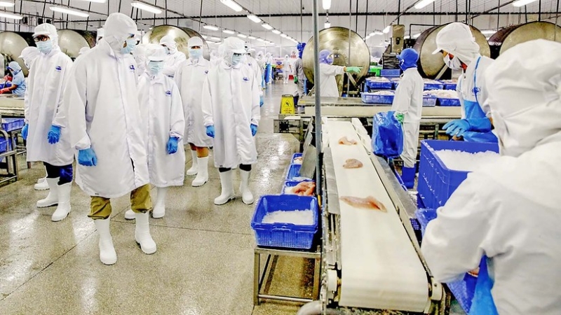 Người lao động của Vĩnh Hoàn 'lãi' bao nhiêu với cổ phiếu ESOP?