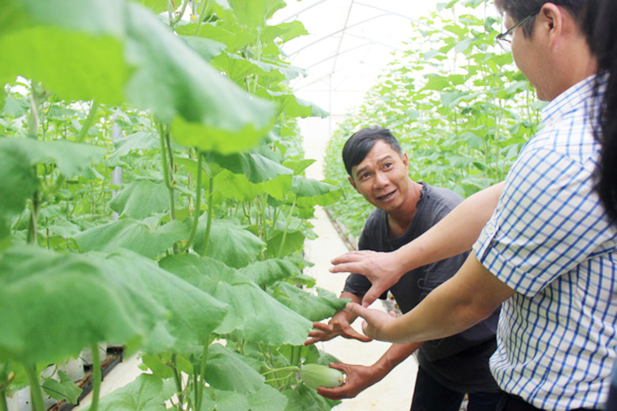 Đồng Nai đang chú trọng phát triển nông nghiệp công nghệ cao (Ảnh: BĐN).