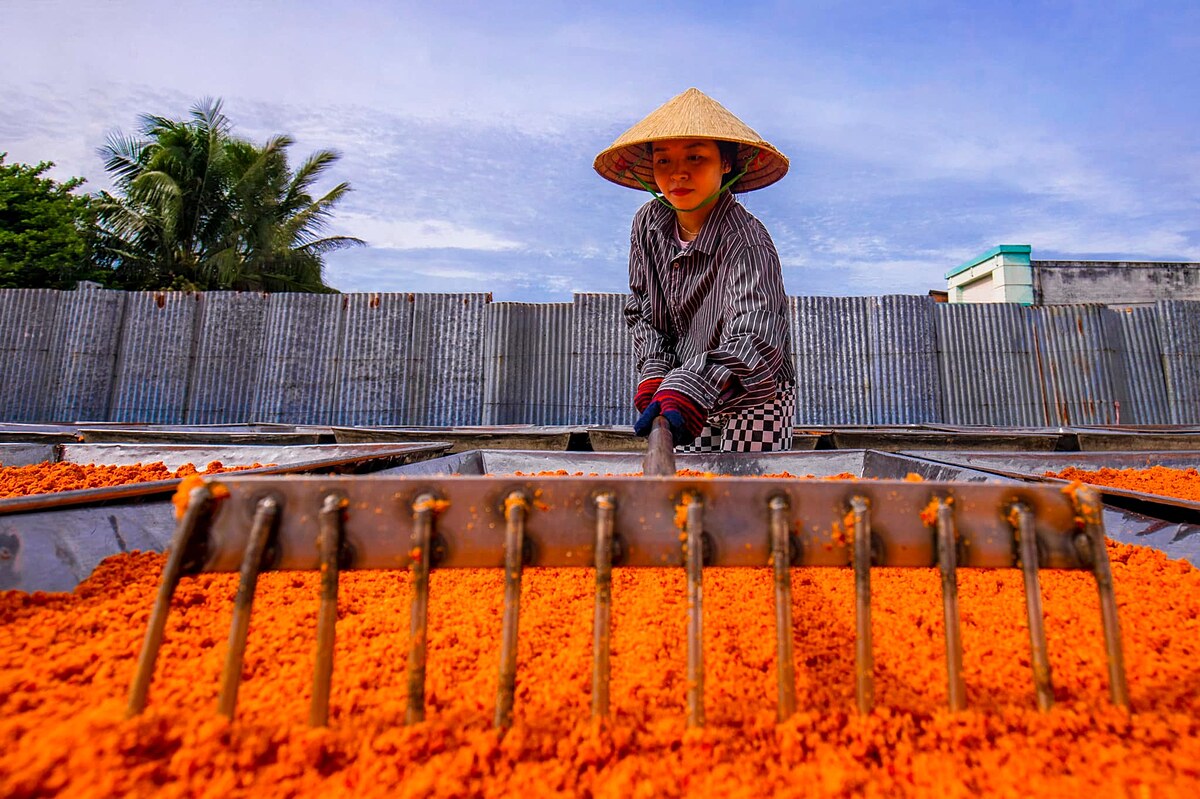 Muối tôm, muối ớt Tây Ninh được phơi một nắng sau đó sấy bằng máy nhằm cung cấp số lượng lớn ra thị trường.