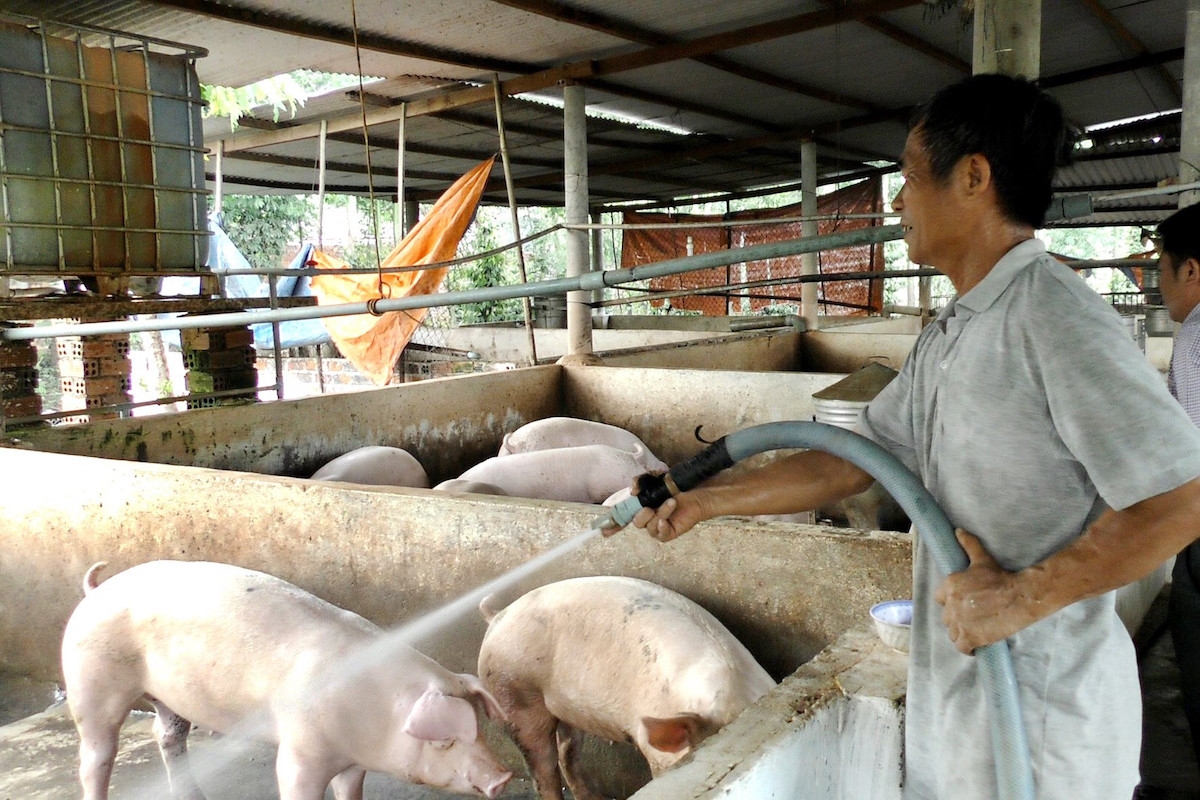 Ngân hàng Nhà nước cho biết đã hỗ trợ lãi suất cho khoảng 60 khách hàng chăn nuôi ở tỉnh Đồng Nai.