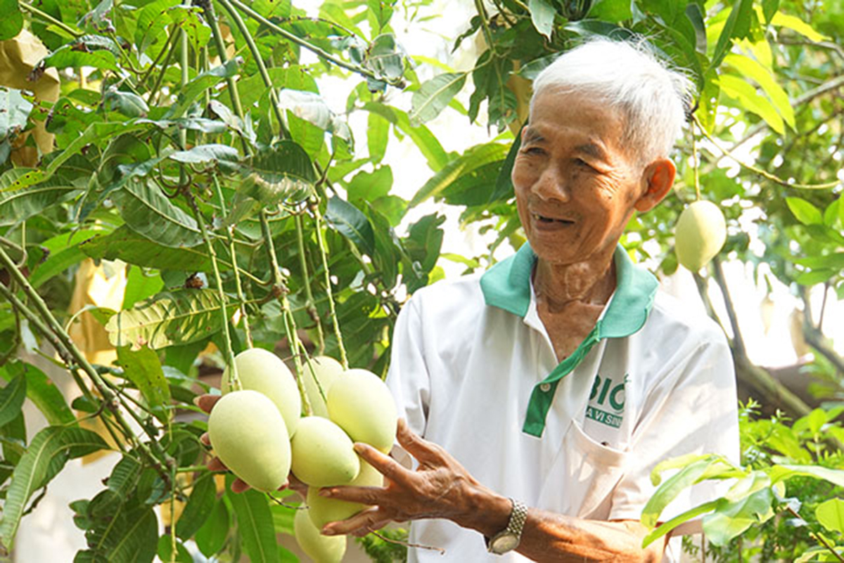 Các sản phẩm OCOP tỉnh Đồng Tháp đang mang lại giá trị cao cho người dân (Ảnh: BĐT).