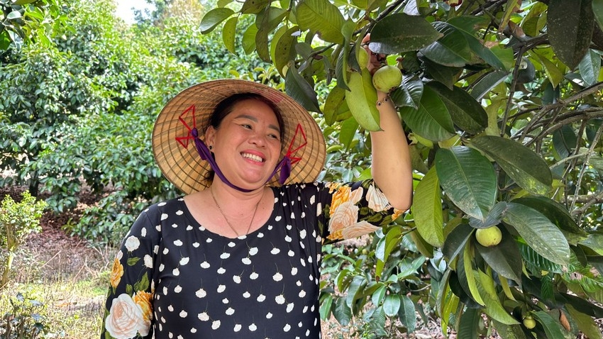 Dưới góc độ quảng bá văn hóa ẩm thực, trend gỏi gà măng cụt đã giúp người dân, HTX nâng cao thu nhập.