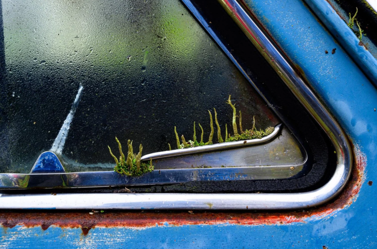 Bức ảnh đạt vị trí thứ 5 ở Hạng mục thiên nhiên đô thị. Ảnh Sigi Zang