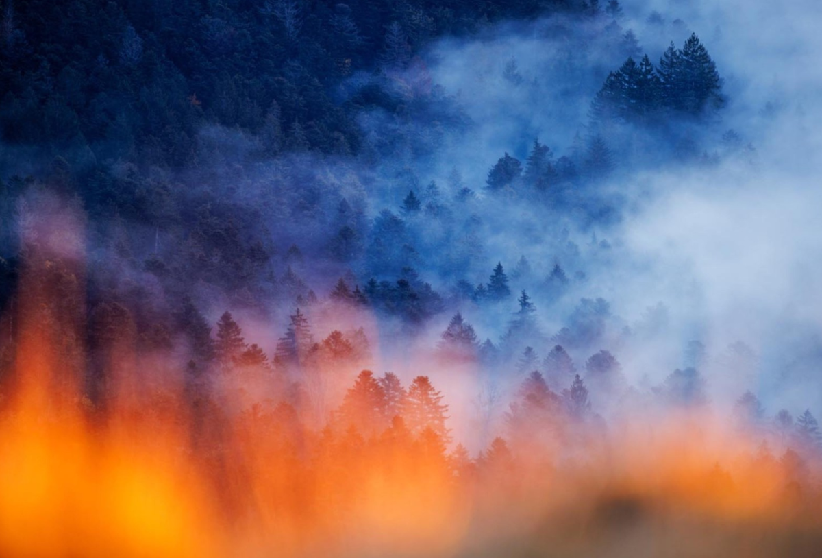 Địa ngục sương mù. Ảnh Radomir Jakubowski