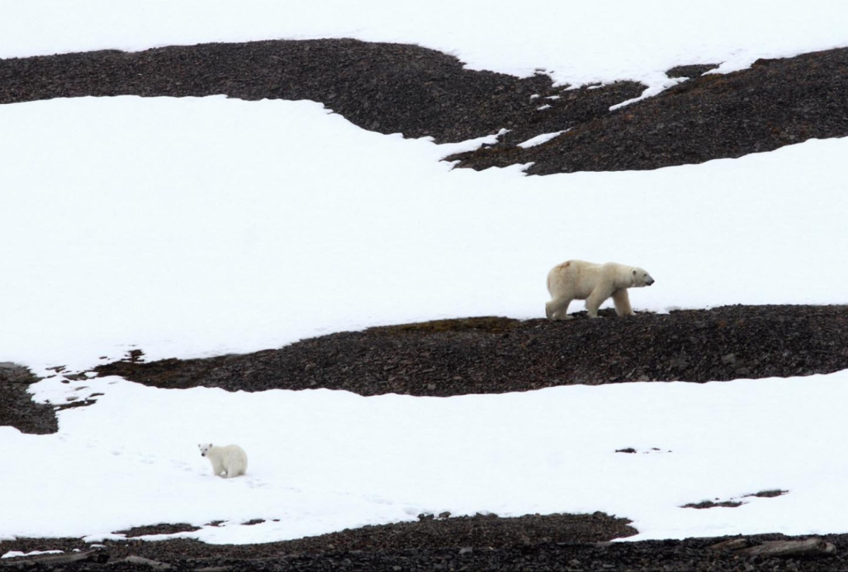 Chúng ta sẽ đi từ đâu đây? Ảnh Barbara Kaltenborn