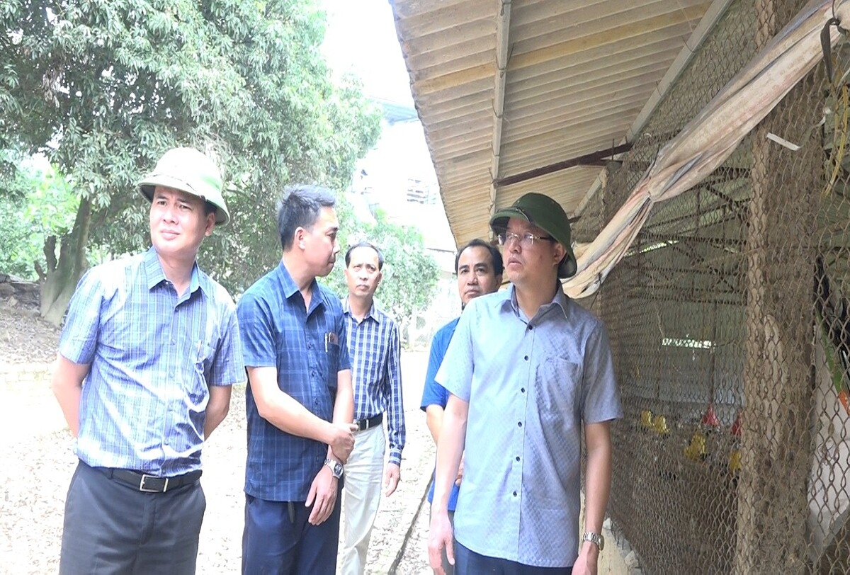 Mô hình nuôi gà sinh học của HTX gà đồi Tiên Sơn được ban lãnh đạo huyện Cẩm Khê đánh giá cao.