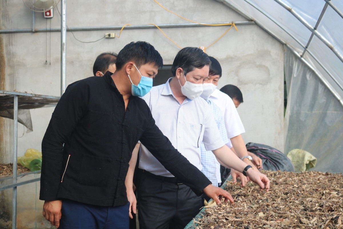 HTX cộng đồng Nặm Đăm vừa phát triển du lịch vừa chế biến các sản phẩm dược liệu.