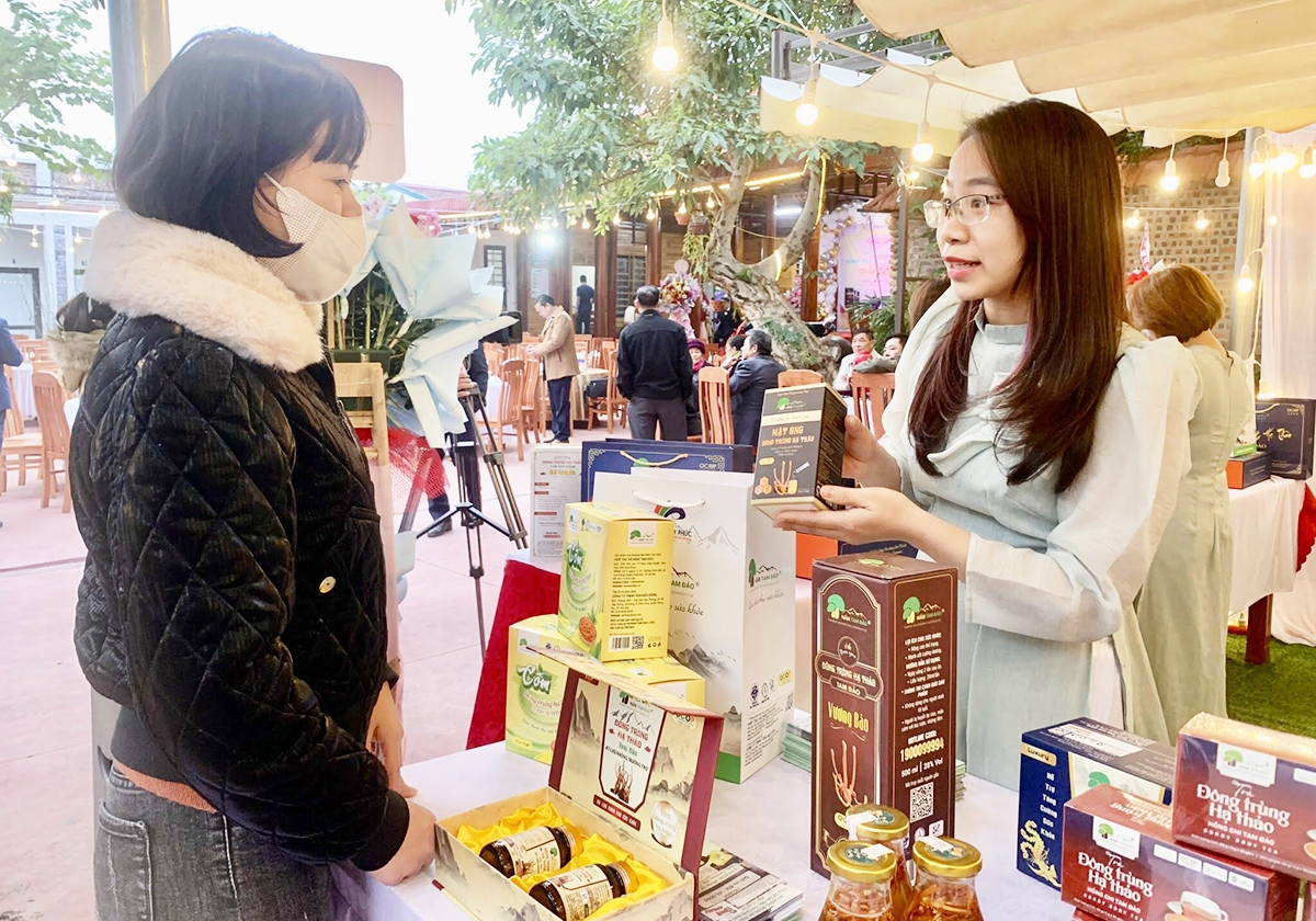 Sản phẩm OCOP ở Tam Đảo ngày càng được người tiêu dùng biết đến, mang lại giá trị cao hơn &lpar;Ảnh: Huyền Linh&rpar;.