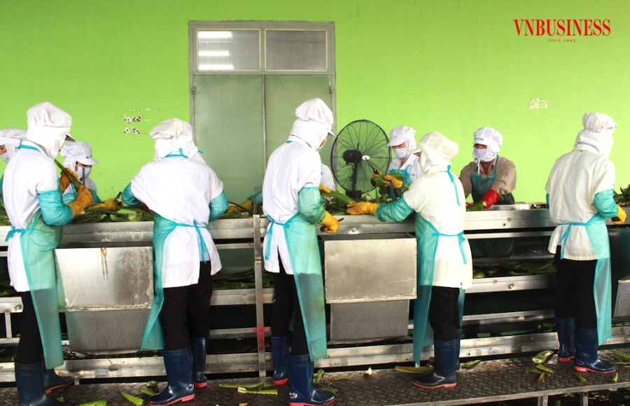 Các cơ quan quản lý và khâu hoạch định chính sách cần lưu tâm gánh nặng chi phí của các DN đang nằm ở đâu để có giải pháp điều chỉnh kịp thời.