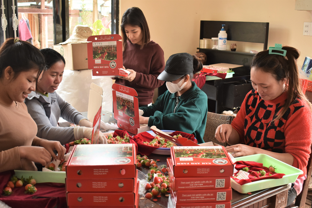 Đầu tư cho bao bì, nhãn mác cũng là cách marketing hiệu quả cho HTX, doanh nghiệp.