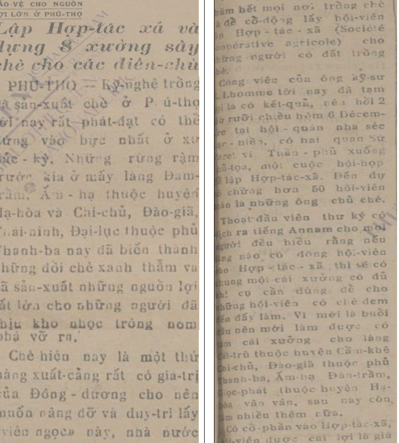 Bài viết về HTX chè đăng trên nhật báo Thời -Thế.
