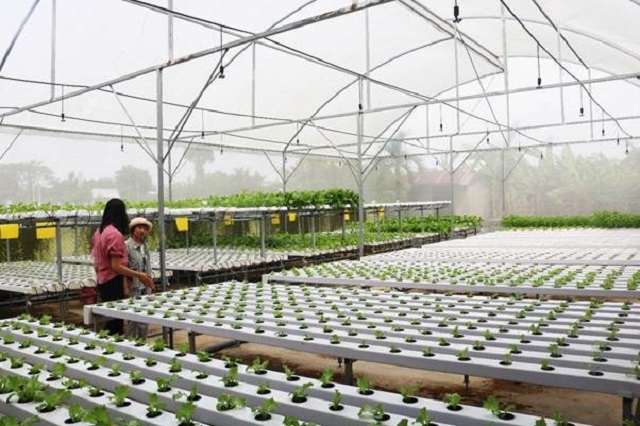 HTX nông nghiệp CNC đã góp phần nâng cao chất lượng cuộc sống và giá trị sản xuất.