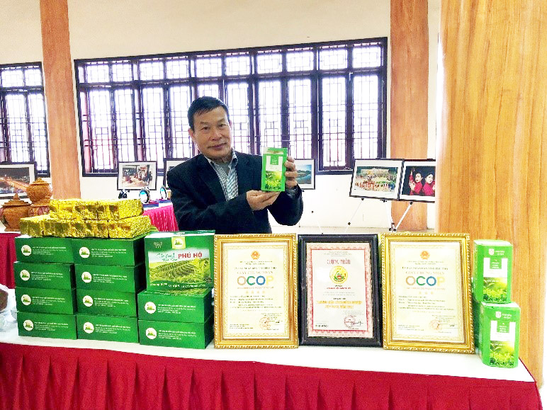 Chè xanh đặc sản Phú Hộ của của tỉnh Phú Thọ được cấp chứng nhận OCOP.