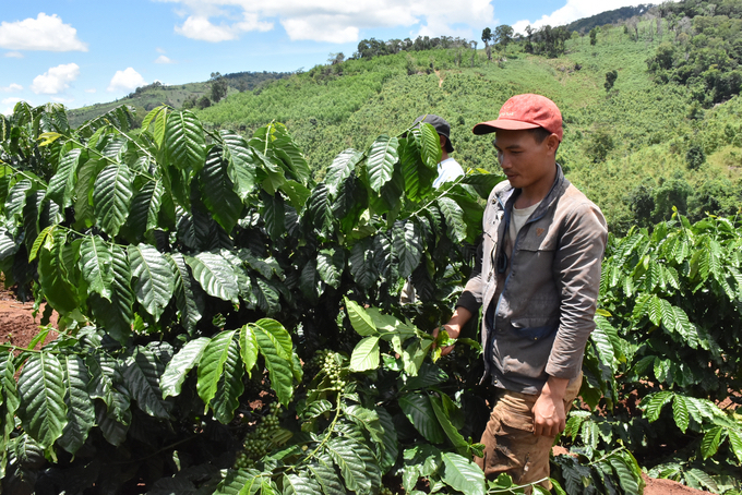 Huyện Mang Yang phấn đấu tới 2025, tỷ lệ hộ nghèo giảm xuống dưới 5%.