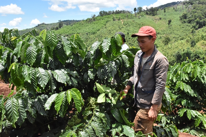 Huyện Mang Yang phấn đấu tới 2025, tỷ lệ hộ nghèo giảm xuống dưới 5%.