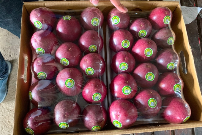 Chanh leo của HTX Hùng Thơm Gia Lai là loại cây trồng giúp nhiều hộ dân trên địa bàn Mang Yang thoát nghèo.