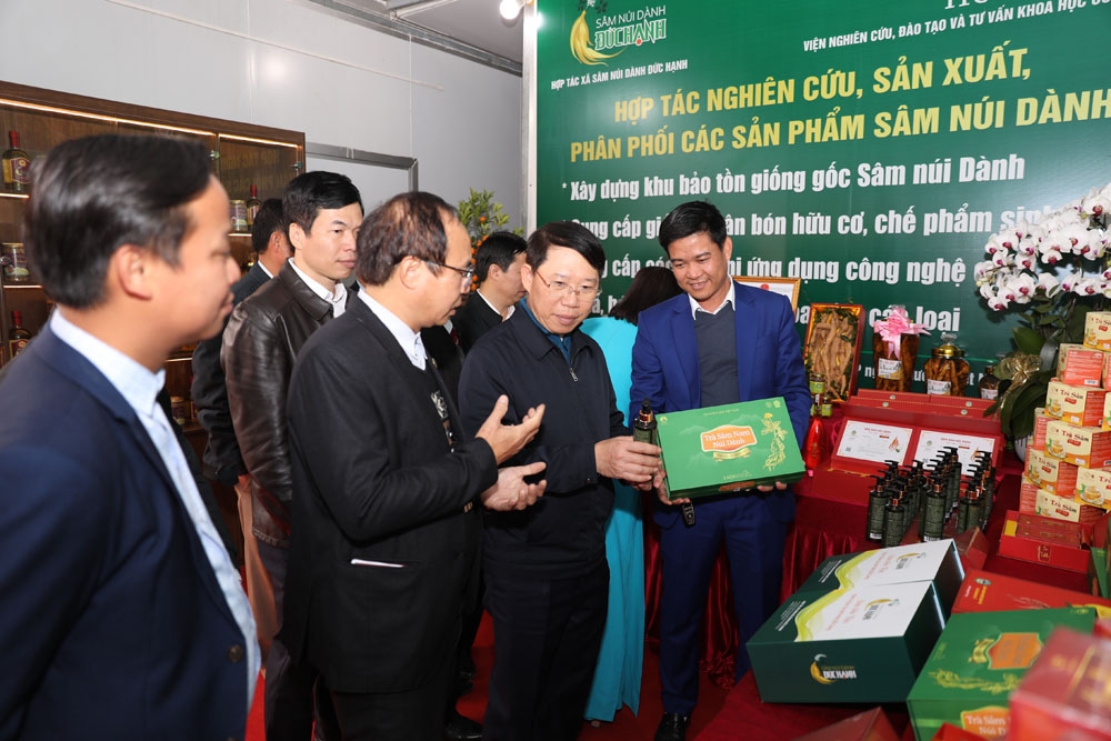 Sâm Nam được HTX phát triển thành hàng hóa và là sản phẩm OCOP 4 sao của địa phương.