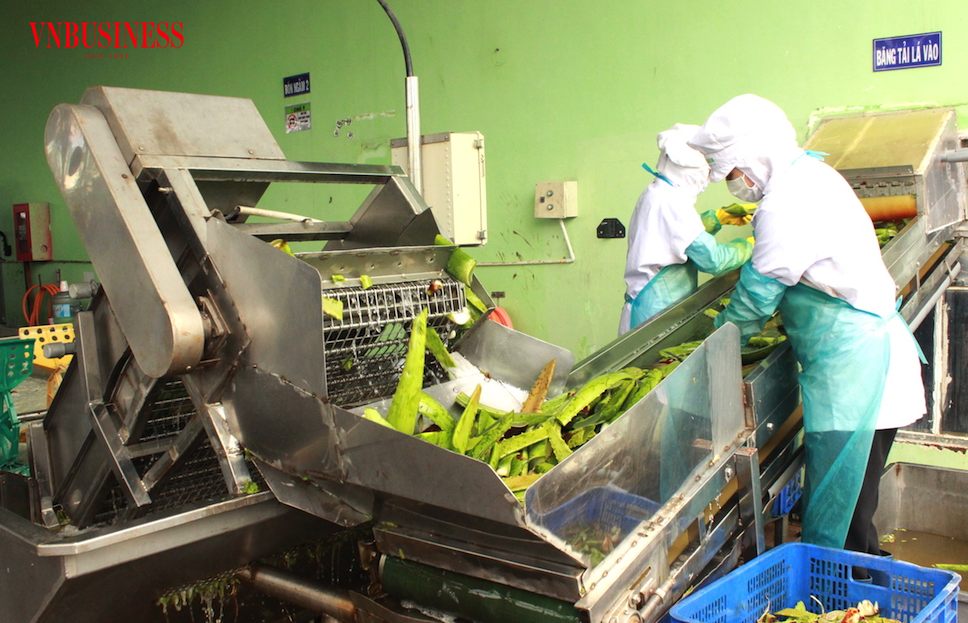 “Nâng chất” chế biến nông sản cần sự nỗ lực nhiều hơn từ phía các DN để giúp gỡ khó cho đầu ra sản phẩm của nông dân.