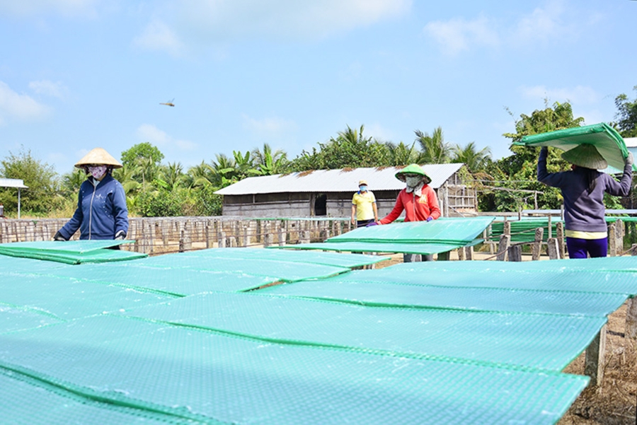 Các HTX đóng góp tích cực vào quá trình xóa đói, giảm nghèo, phát triển kinh tế vùng dân tộc thiểu số huyện Giồng Riềng.