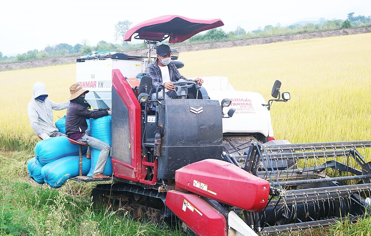 Sản xuất lúa gạo bằng máy móc hiện đại đang giúp HTX Nông nghiệp Buôn Choáh có được nhiều thành công ngoài mong đợi.