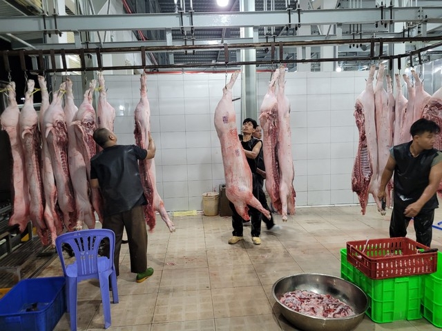 Chính sách xin giấy phép môi trường về giết mổ theo quy mô nhỏ được hướng về các cấp địa phương sẽ tạo thuận lợi cho HTX.