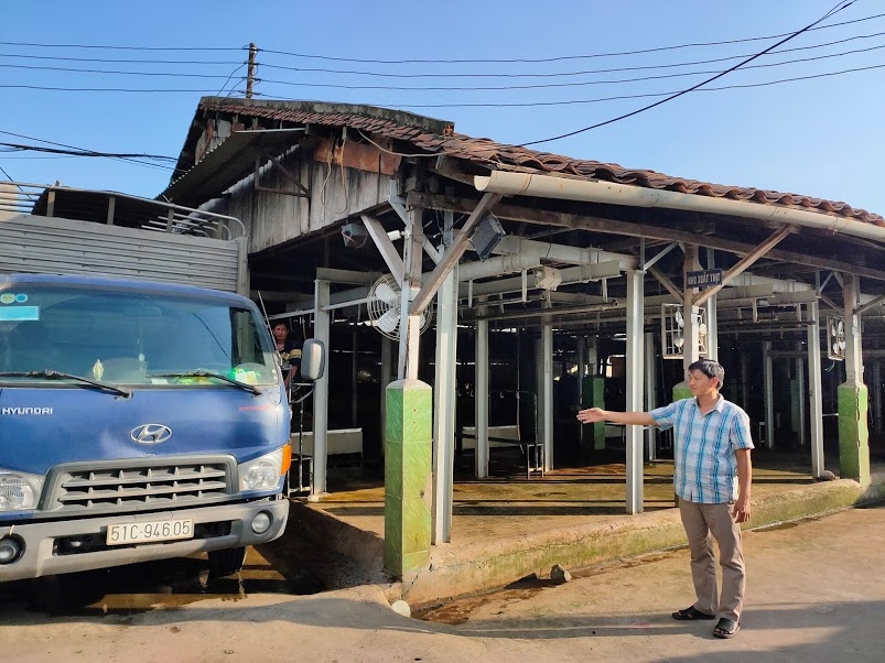 Lò giết mổ gia súc của một HTX trên địa bàn tỉnh Bình Dương.