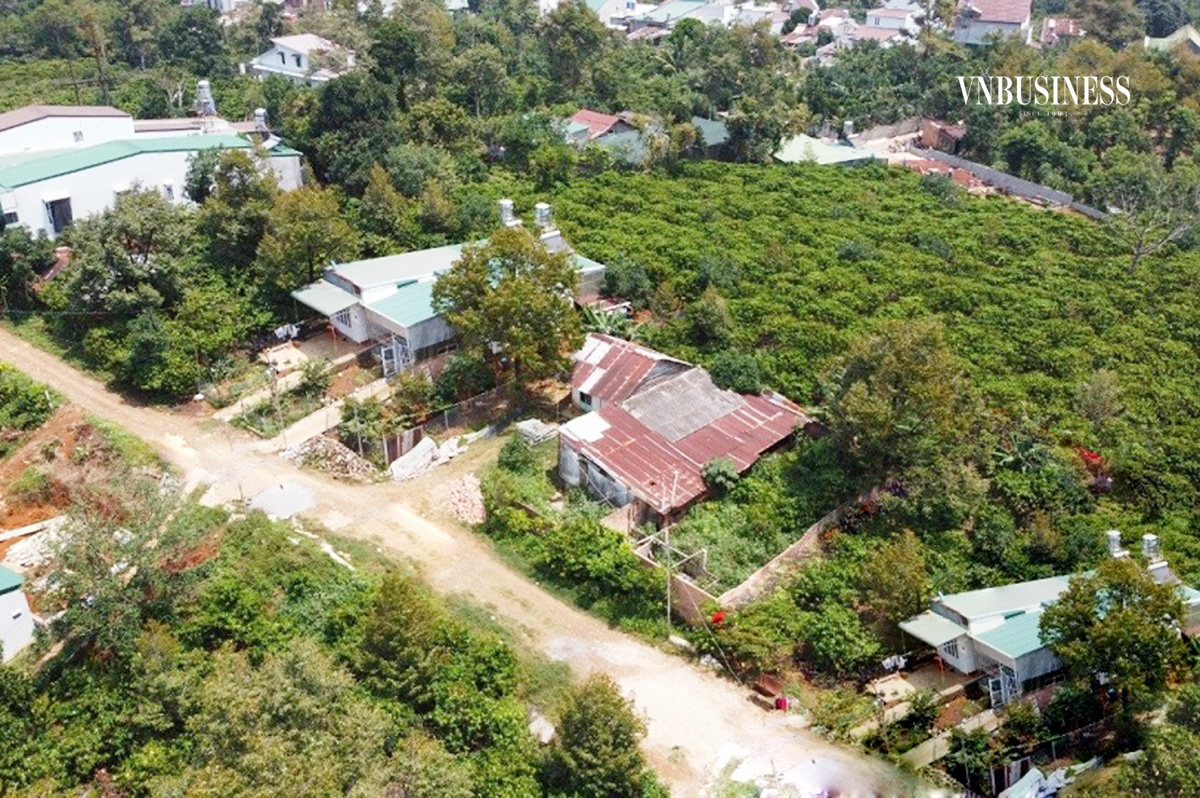 Thị trường đất nền Lâm Đồng được kỳ vọng ấm lên sau khi lệnh cấm tách thửa được bãi bỏ.