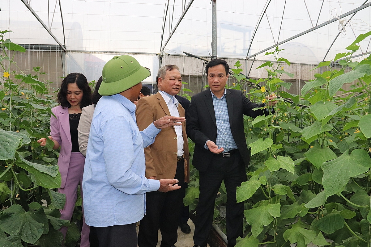 HTX luôn nhận được sự quan tâm, chỉ đạo, giúp đỡ của lãnh đạo tỉnh trong phát triển sản xuất, ứng dụng công nghệ.