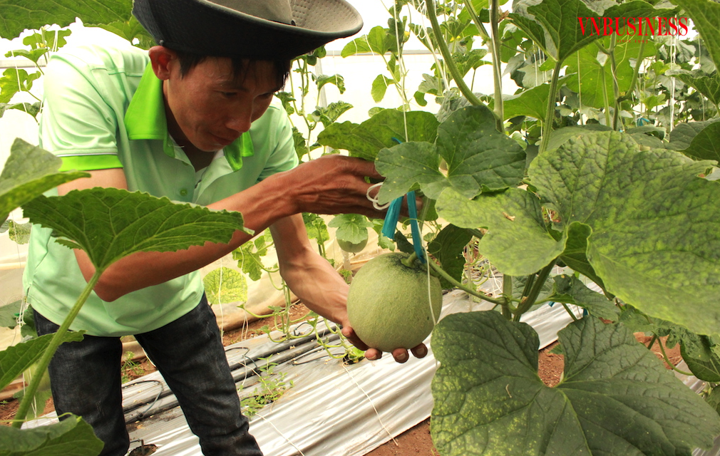 Phát triển mạnh kinh tế hợp tác ở xã An Bình giúp nhiều nông dân vươn lên thoát nghèo, làm kinh tế giỏi.