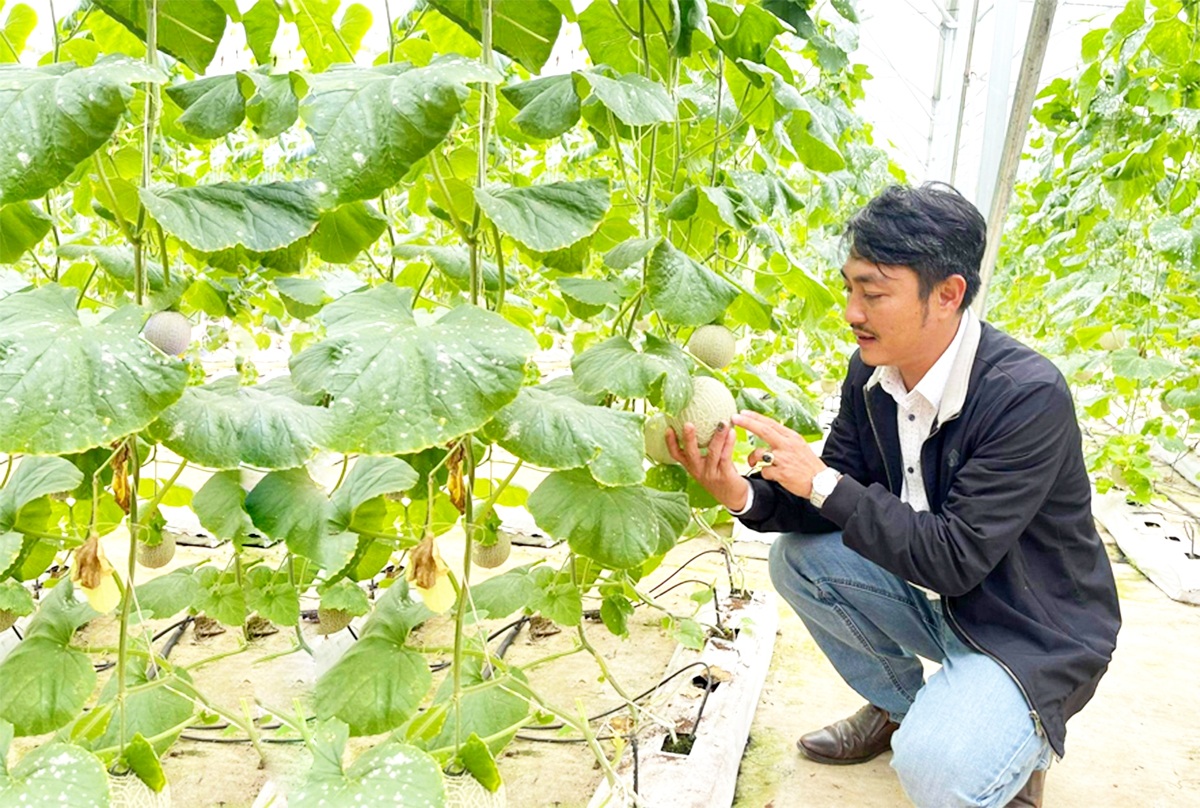 Những thay đổi trong tư duy sản xuất đang giúp nhiều nông dân ở Thái Hòa làm giàu.