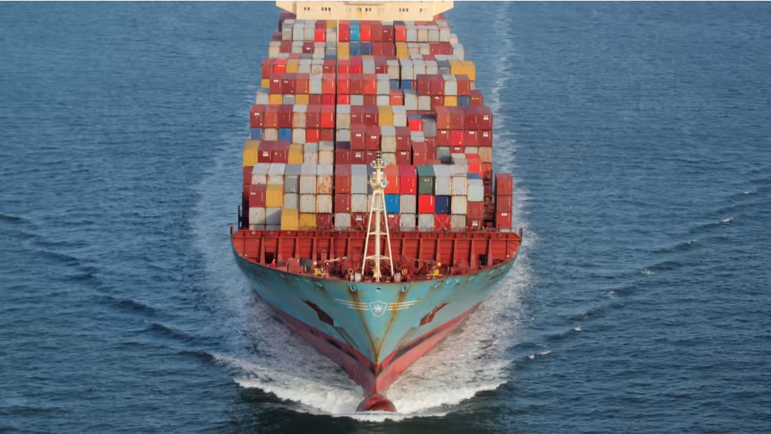 Giá cước vận chuyển container đã giảm cùng với mức tiêu thụ. © Reuters