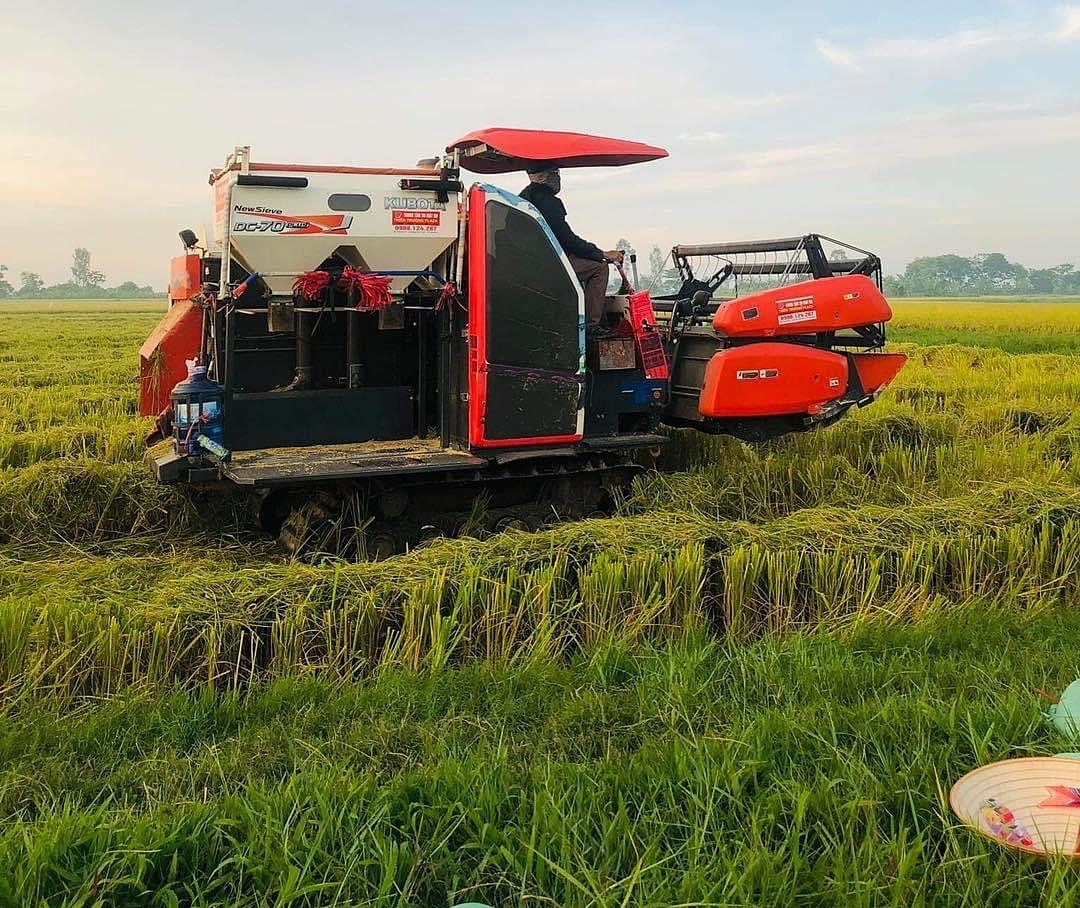 Phát huy vai trò của HTX cùng với sự tham gia của cơ quan quản lý địa phương sẽ hạn chế được nạn bảo kê máy gặt.