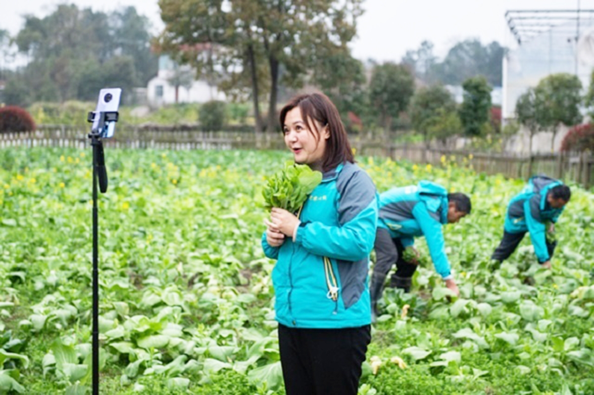 Bán hàng online và trên các trang thương thương mại điện tử giúp HTX đưa sản phẩm đi xa hơn.