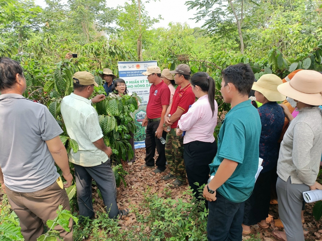 Tham gia mô hình sản xuất cà phê theo hướng bền vững của HTX, người dân Đak Đoa được tập huấn kỹ thuật, hỗ trợ vật tư chăm sóc, cải tạo đất.