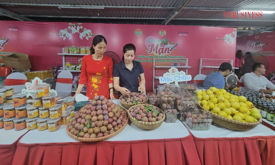 Các sản phẩm mận hậu Sơn La được giới thiệu tới người tiêu dùng Thủ đô.