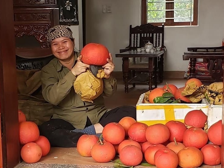 Bưởi đỏ của HTX Đông Cao &lpar;Mê Linh&rpar; là đặc sản đang được bảo tồn và phát triển.