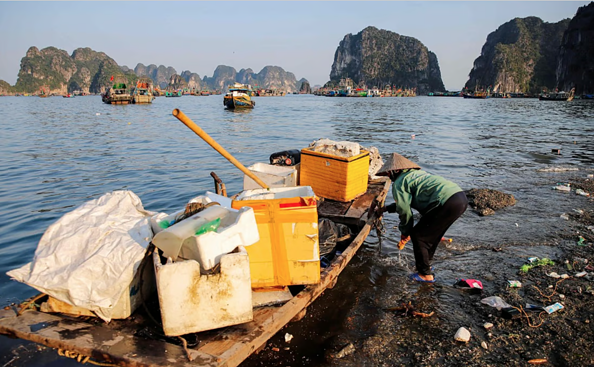 Một người phụ nữ thu gom rác thải trôi nổi trên Vịnh Hạ Long. Ảnh: AFP