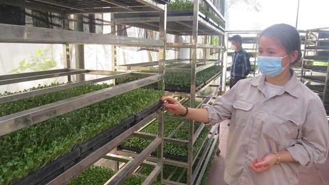 “Dân vận khéo” được coi là một trong những yếu tố quyết định cho sự thành công trong thực hiện xây dựng NTM.