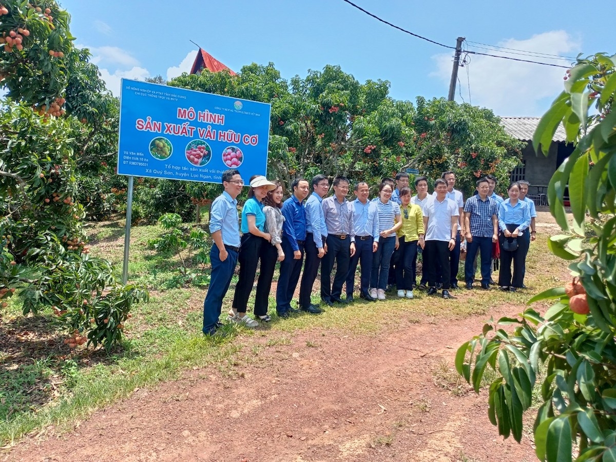 Tổ hợp tác là đơn vị tiên phong trong việc đảm bảo chất lượng theo đúng tiêu chuẩn từ thị trường Nhật Bản &lpar;Ảnh: NVCC&rpar;.