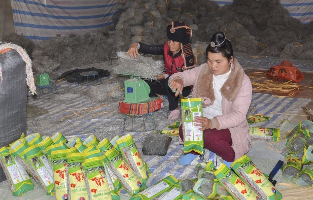 Một trong những đóng góp lớn nhất của kinh tế hợp tác, “đầu tàu” là các HTX, là đã góp phần thay đổi tư duy sản xuất nông nghiệp của đồng bào các dân tộc.