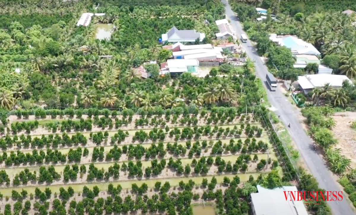 Diện mạo nông nghiệp, nông thôn Đốc Binh Kiều đang thay đổi rõ rệt.